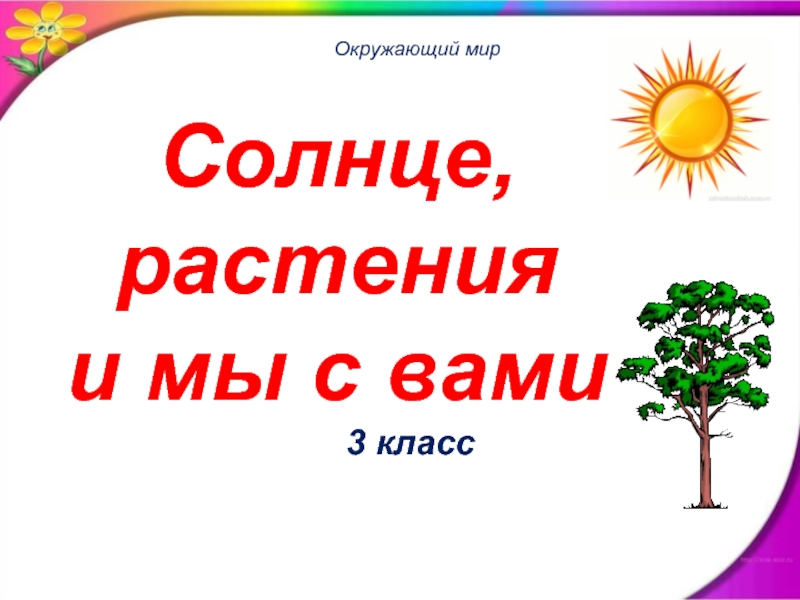 Инфоурок презентация по окружающему миру