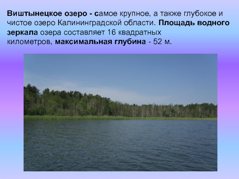 Почему в чистом озере. Виштынецкое озеро. Виштынецкое озеро Калининградская. Озеро Виштынец Калининградская область. Виштынецкое озеро Калининград.
