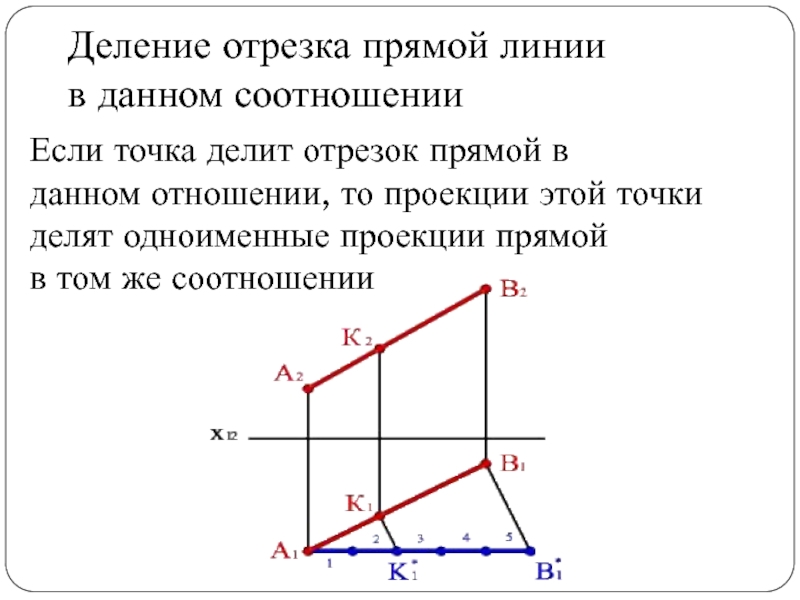 Точка делит отрезок