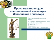 Производство в суде апелляционной инстанции. Исполнение приговора 