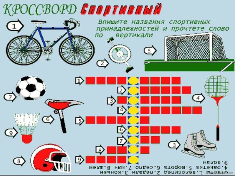 Атлет кроссворд. Кроссворд про спорт. Кроссворд по физкультуре. Спортивный кроссворд с ответами. Кроссворд спортивный инвентарь.