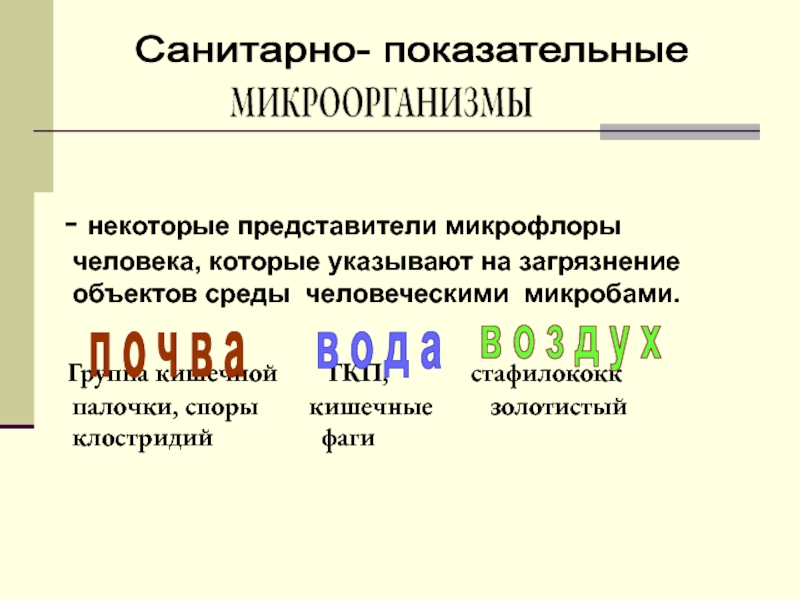 Санитарно показательные микроорганизмы почвы. Санитарно-показательные микроорганизмы. Санитарно-показательные микроорганизмы это представители. Саннитарнопоказательные микроорганизмы. Санитарно-показательные микроорганизмы воды.