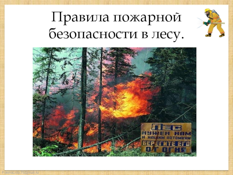 Презентация Правила пожарной безопасности в лесу