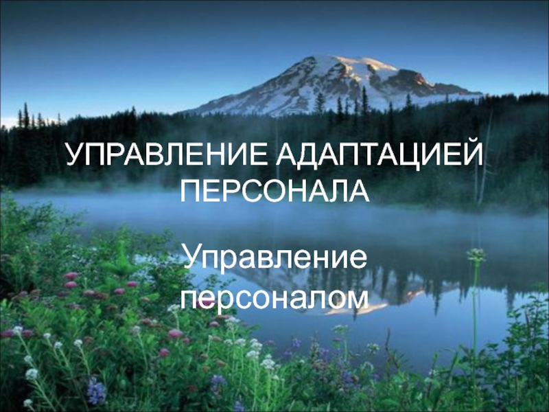 УПРАВЛЕНИЕ АДАПТАЦИЕЙ ПЕРСОНАЛ А