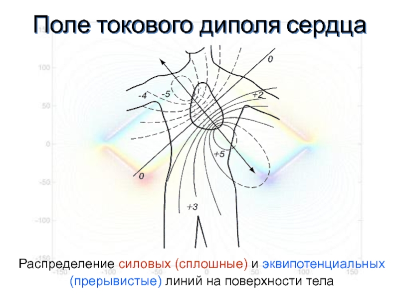 Картина силовых линий диполя