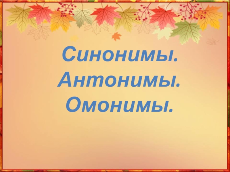 Синонимы. Антонимы. Омонимы.