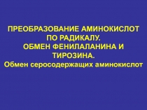 Непрямое дезаминирование трансдезаминирование