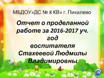 Отчет о проделанной работе за 2016-2017 уч.год