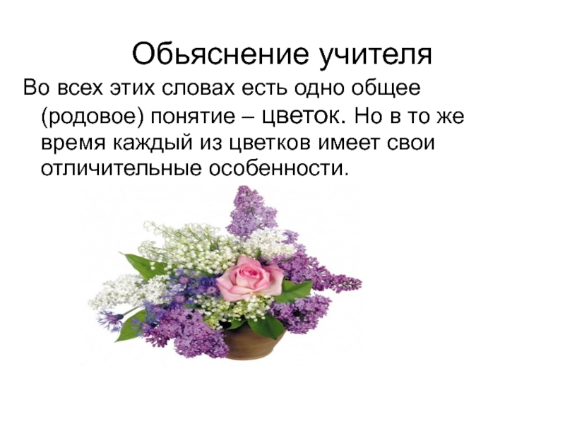Определение понятию цветок. Цветок из слов. Словарная статья цветок. Слова цветов. Слова из цветов.