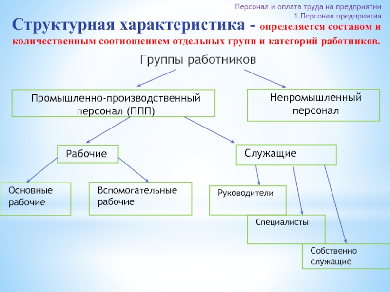 Вспомогательный персонал организаций