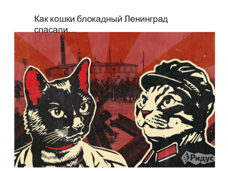 Презентация Как кошки блокадный Ленинград спасали…