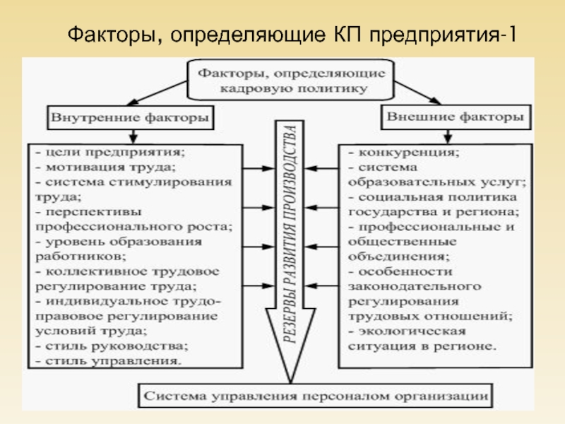 Факторы предприятия. Факторы определяющие кадровую политику. Аспекты кадровой политики организации. Факторы определяющие государство. Кадровый вид деятельности.