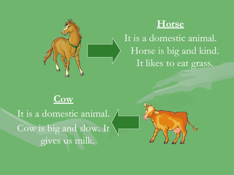HorseIt is a domestic animal. Horse is big and kind. It likes to eat grass.CowIt is a