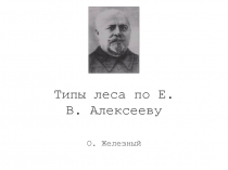 Типы леса по Е.В. Алексееву