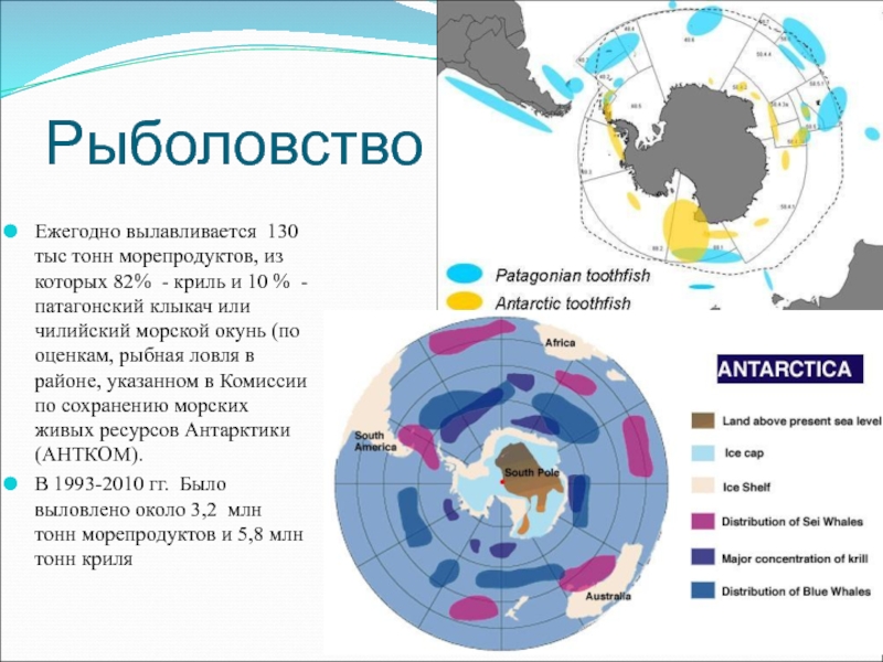Южный океан 7 класс. Ресурсы Южного океана. Хозяйственная деятельность Южного океана. Биологические ресурсы Южного океана. Энергетические ресурсы Южного океана.