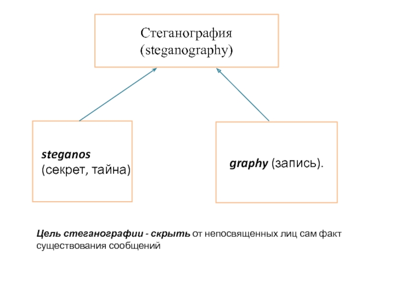 Процесс стеганографии схема