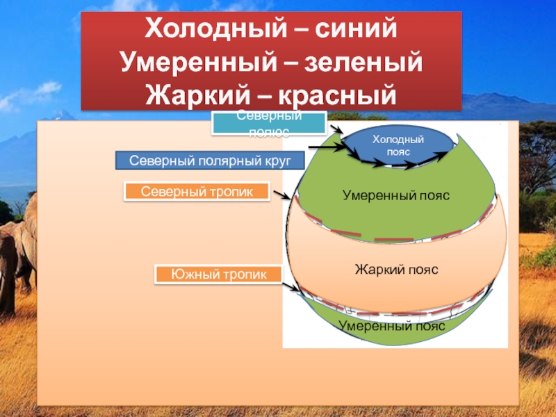 Тропический северный пояс осадки. Холодный пояс. Жаркий умеренный и холодный пояс. Жаркий пояс. Южный умеренный пояс.