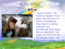 My Kitten