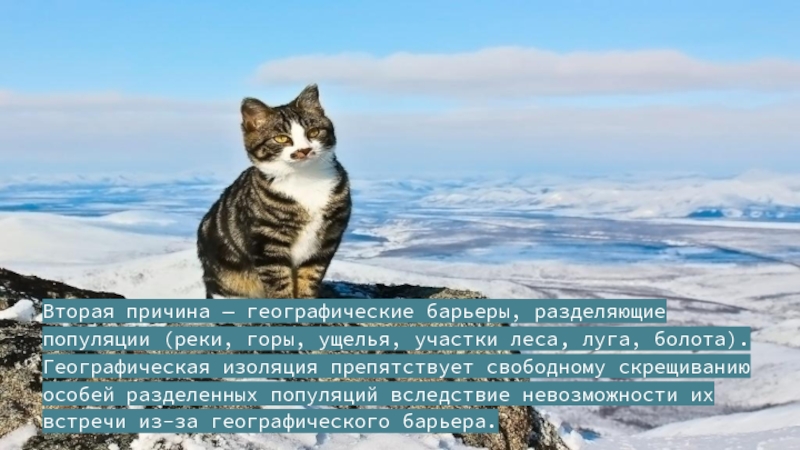 типы изоляции в биологии. изоляция дрейф генов популяционные волны. примеры биологической изоляции в биологии. географическая изоляция и экологическая изоляция. изоляция фактор эволюции.