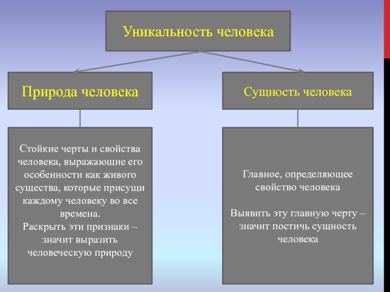 Проект на тему уникальность человека