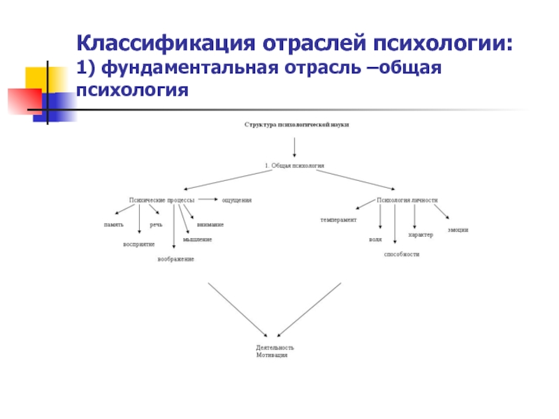 Классификация отраслей. Классификация отраслей психологии по а.в Петровскому. Классификация отраслей современной психологии. Классификация отраслей современной психологии схема. Классификация отраслей психологии по цели деятельности.