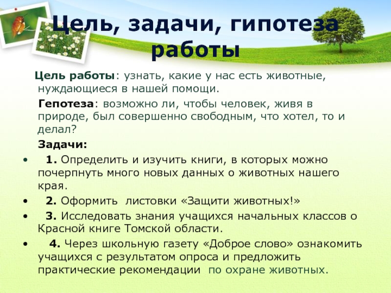 Цель животных. Цель задачи гипотеза. Цели задачи гипотеза проекта. Актуальность гипотеза цель задачи. Цель задачи гипотеза проекта примеры.