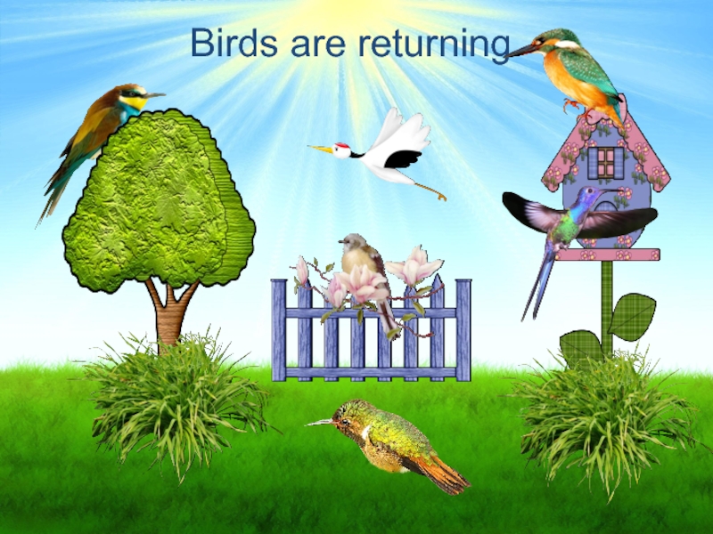 Birds are returning.
