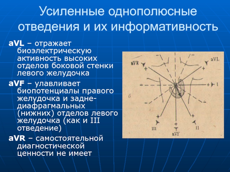 Физические основы электрокардиографии презентация