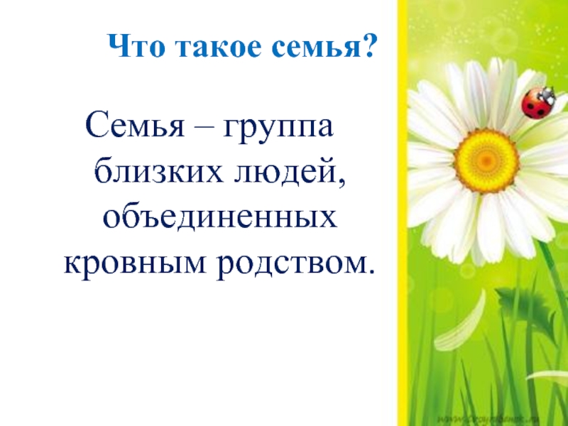 Презентация тепло. Тепло семьи презентация. Тепло родного очага план текста. Структура портфолио семьи тепло родного очага. Кл час тепло семейного очага 3 класс.