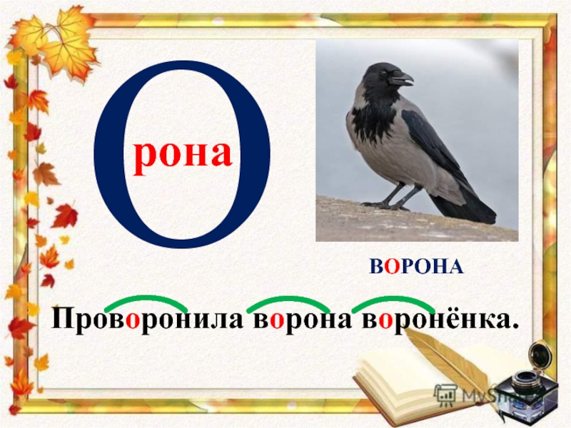 Слово ворона. Проворонила ворона вороненка. Буква в ворона. Проворонила ворона вороненка орфограммы. Проворонила ворона Воронёнка гласные буквы.