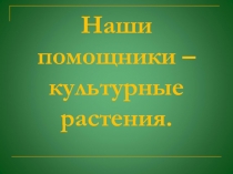 Наши помощники - культурные растения.