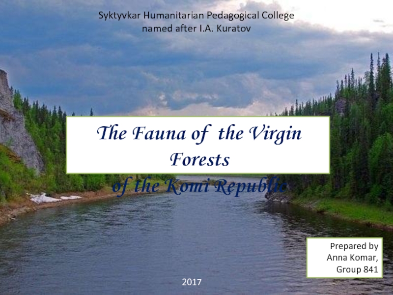 Презентация The Fauna of the Virgin Forests  of the Komi Republic