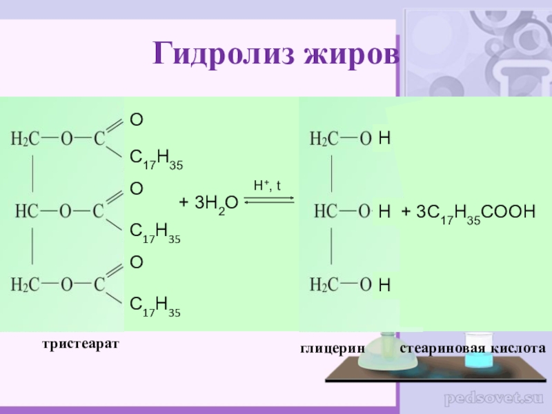 Кислый гидролиз. Гидролиз жиров стеариновая кислота. Глицерин c17h35cooh. Уравнение щелочного гидролиза жира. Гидролиз жира уравнение реакции.