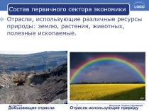 Состав первичного сектора экономики
