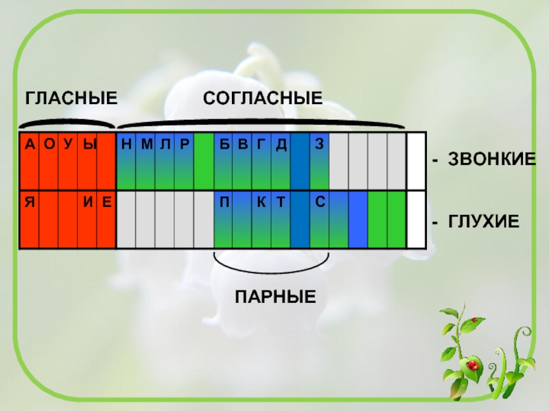 Глухие и звонкие согласные звуки презентация