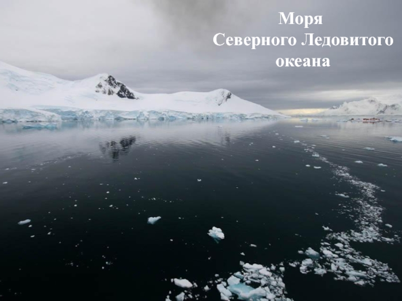 Северный ледовитый тихий. Моря Северного Ледовитого океана. Северный Ледовитый океан и Антарктида. Белое море Северного Ледовитого океана. Море Север.