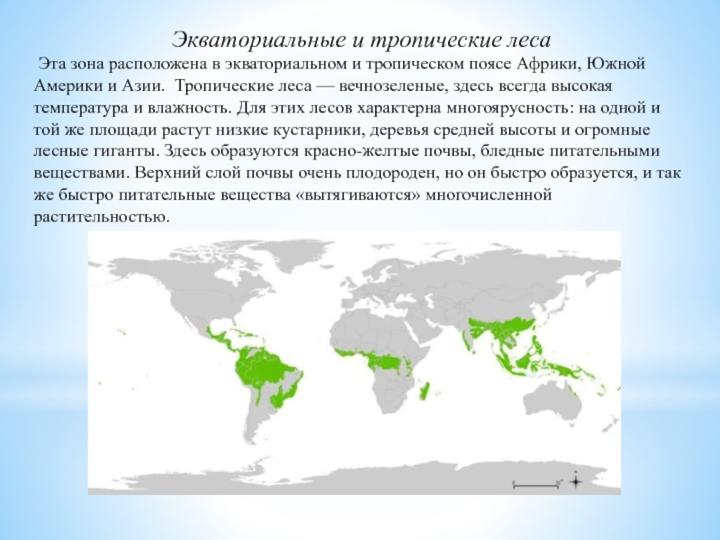 Тропические леса карта