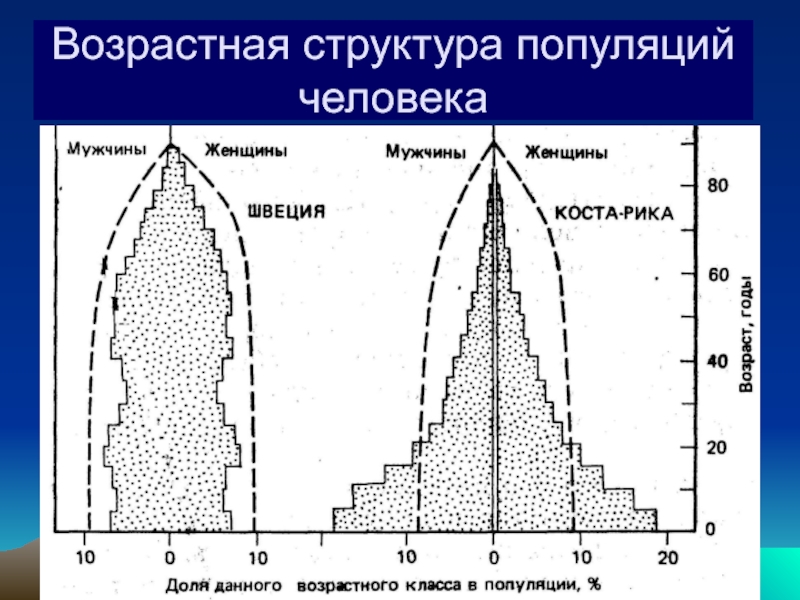 Основные экологические характеристики популяции презентация 11 класс