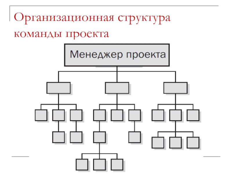 Организационная структура команды проекта в том числе некоторые участники и административно