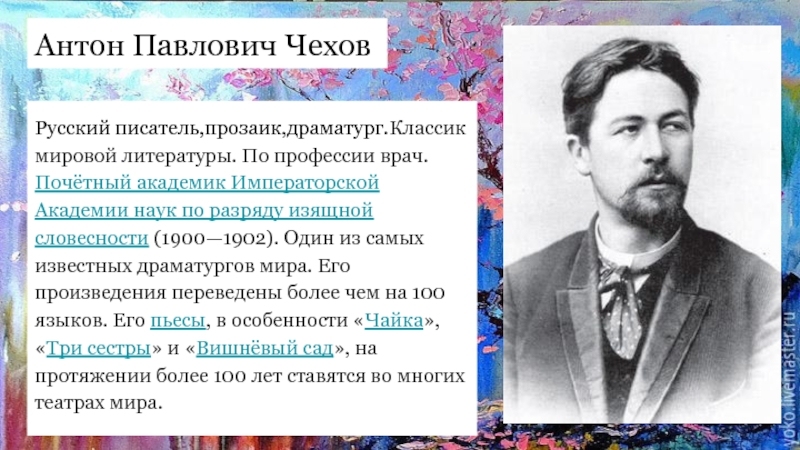 Писатель прозаик это. Писатели прозаики. Почётный академик по разряду изящной словесности.