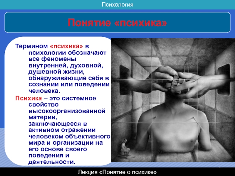 Что значит психология. Понимание психики человека. Понятие о психике человека. Психика это в психологии. Понятие психики в психологии.