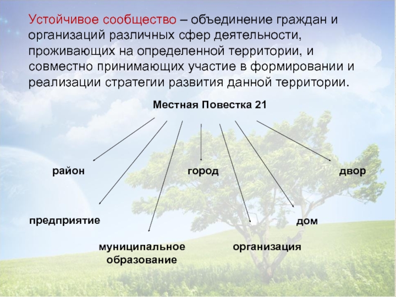 Местные объединения граждан. Устойчивые сообщества. Устойчивые сообщества называются. Устойчивые сообщества примеры. Устойчивое сообщество видов.