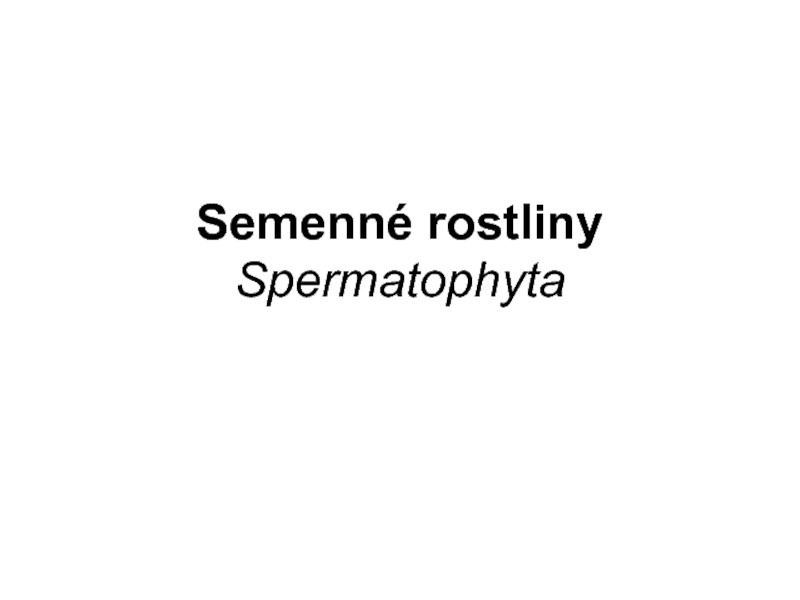 Semenné rostliny Spermatophyta