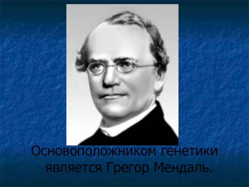 Основоположник генетики. Основоположником генетики является. Генетика основоположник. Ученый основатель генетики. Мендель является основоположником.