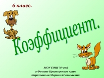 Коэффициент