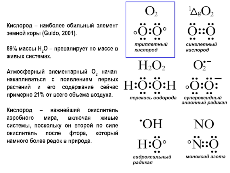 Доклад по теме Фотосинтетический кислород: роль H2O2