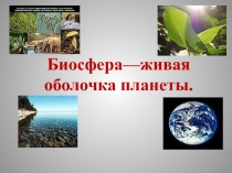 Биосфера—живая оболочка планеты