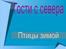 Птицы зимой 2 класс