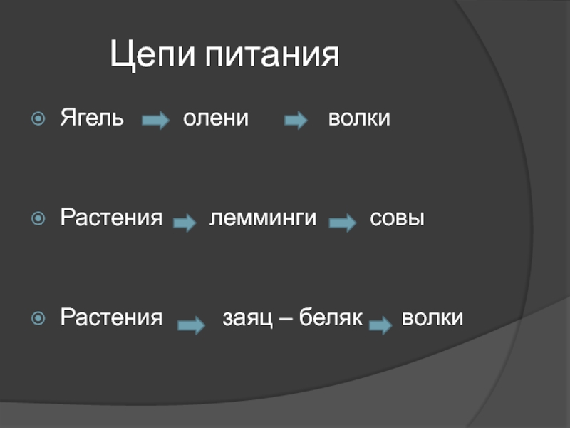 Цепь питания характерная для зоны тундры