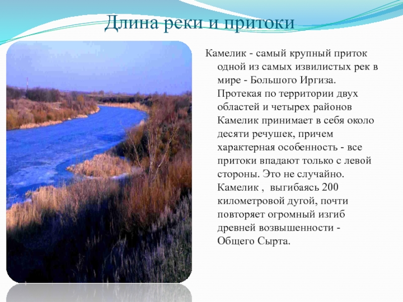 Текст болото идет параллельно. Камелик (река). Река Камелик Саратовская область. Река Камелик Самарская область. Длина реки это.